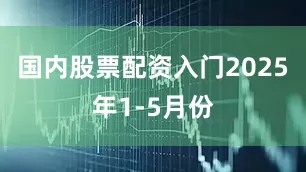 国内股票配资入门2025年1-5月份