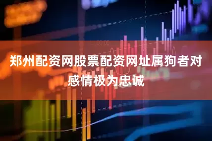 郑州配资网股票配资网址属狗者对感情极为忠诚