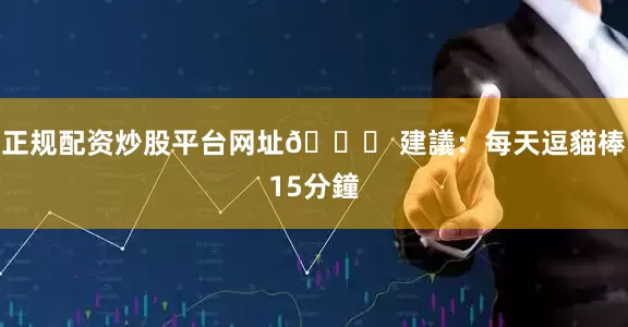 正规配资炒股平台网址👉 建議：每天逗貓棒15分鐘