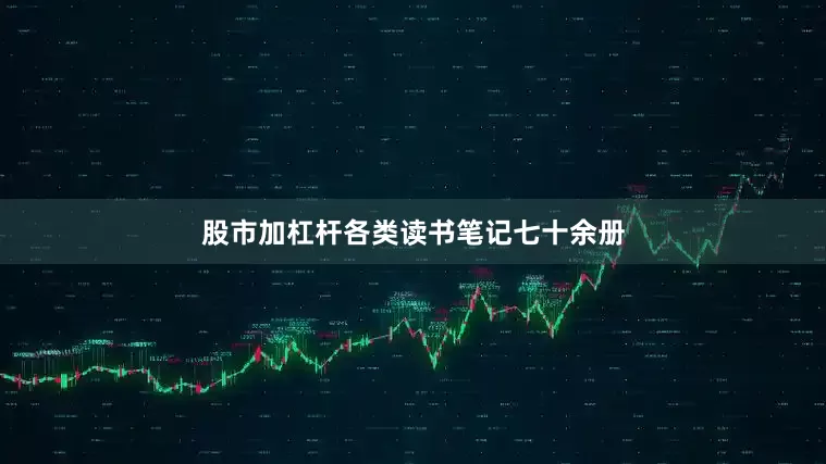 股市加杠杆各类读书笔记七十余册