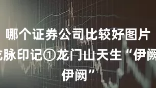 哪个证券公司比较好图片龙脉印记①龙门山天生“伊阙”